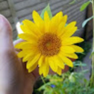 Meet your Posher, Fatima